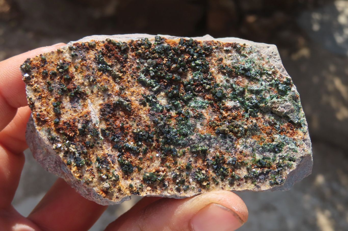 Natural Libethenite Crystals On Dolomite Matrix Specimens x 4 From Shituru, Congo - Toprock Gemstones and Minerals 