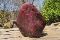 Polished Rhodonite Standing Free Forms x 2 From Zimbabwe - Toprock Gemstones and Minerals 