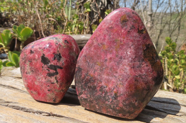 Polished Rhodonite Standing Free Forms x 2 From Zimbabwe - Toprock Gemstones and Minerals 