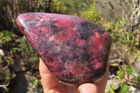 Polished Rhodonite Standing Free Forms x 2 From Zimbabwe - Toprock Gemstones and Minerals 