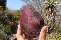 Polished Rhodonite Standing Free Forms x 2 From Zimbabwe - Toprock Gemstones and Minerals 