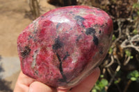 Polished Rhodonite Standing Free Forms x 2 From Zimbabwe - Toprock Gemstones and Minerals 