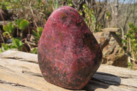 Polished Rhodonite Standing Free Forms x 2 From Zimbabwe - Toprock Gemstones and Minerals 