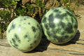 Polished Leopard Stone Spheres x 2 From Nyanga, Zimbabwe - Toprock Gemstones and Minerals 