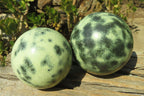 Polished Leopard Stone Spheres x 2 From Nyanga, Zimbabwe - Toprock Gemstones and Minerals 