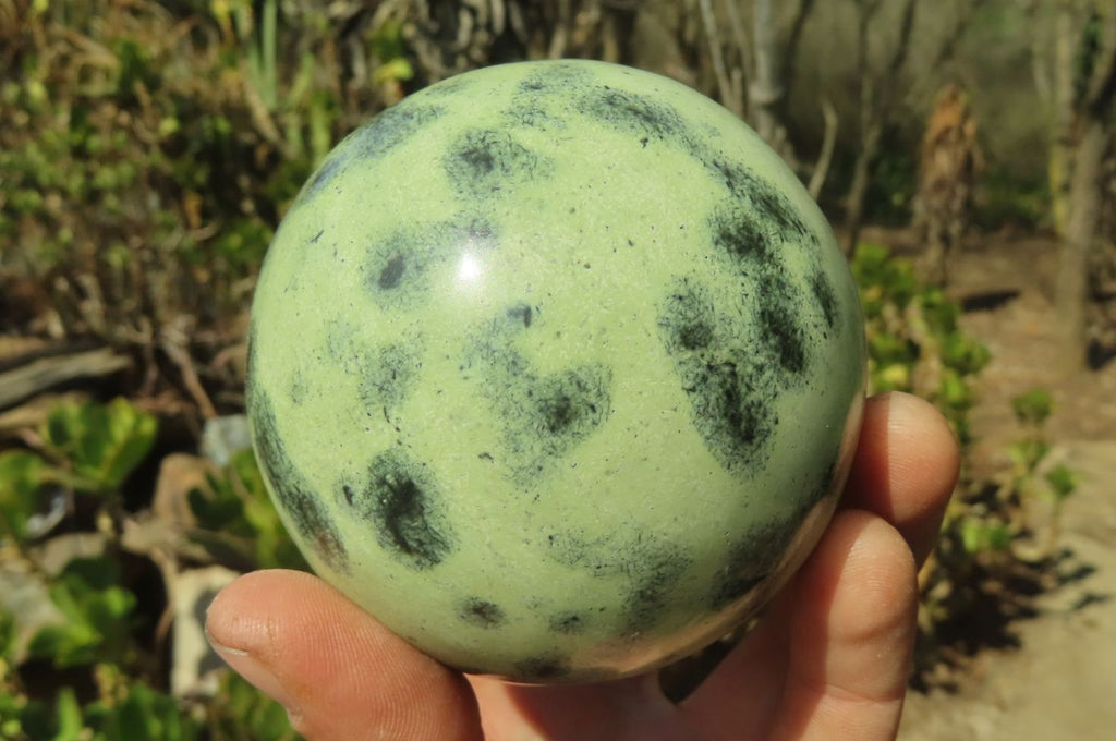 Polished Leopard Stone Spheres x 2 From Nyanga, Zimbabwe - Toprock Gemstones and Minerals 