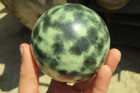 Polished Leopard Stone Spheres x 2 From Nyanga, Zimbabwe - Toprock Gemstones and Minerals 