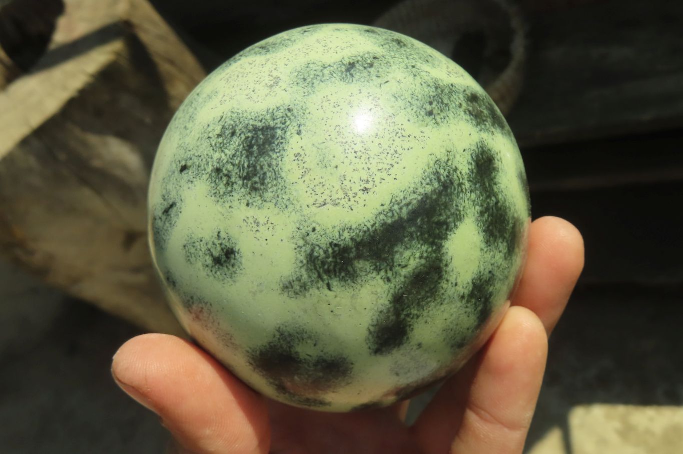 Polished Leopard Stone Spheres x 2 From Nyanga, Zimbabwe - Toprock Gemstones and Minerals 