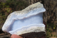 Natural Etched Blue Chalcedony Specimens x 12 From Malawi - Toprock Gemstones and Minerals 