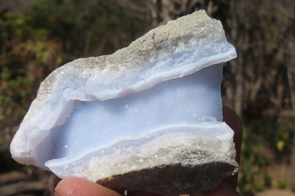 Natural Etched Blue Chalcedony Specimens x 12 From Malawi - Toprock Gemstones and Minerals 