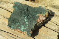 Natural Botryoidal Malachite Specimen x 1 From Kolwezi, Congo - Toprock Gemstones and Minerals 