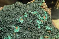 Natural Botryoidal Malachite Specimen x 1 From Kolwezi, Congo - Toprock Gemstones and Minerals 