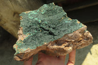 Natural Botryoidal Malachite Specimen x 1 From Kolwezi, Congo - Toprock Gemstones and Minerals 