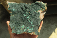 Natural Botryoidal Malachite Specimen x 1 From Kolwezi, Congo - Toprock Gemstones and Minerals 