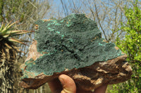 Natural Botryoidal Malachite Specimen x 1 From Kolwezi, Congo - Toprock Gemstones and Minerals 