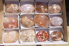 Polished Ocean Flower Agate Palm Stones x 12 From Antsahalova, Madagascar - Toprock Gemstones and Minerals 