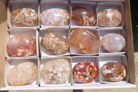 Polished Ocean Flower Agate Palm Stones x 12 From Antsahalova, Madagascar - Toprock Gemstones and Minerals 