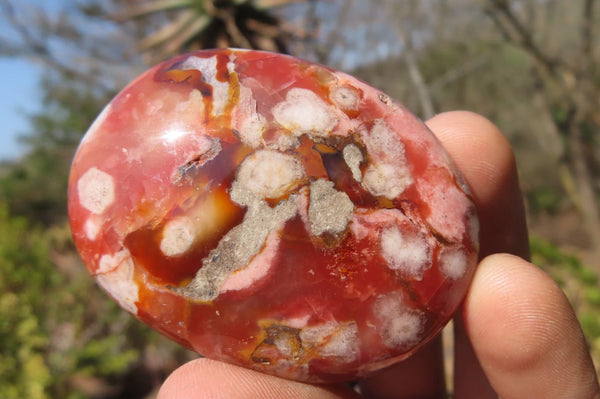 Polished Ocean Flower Agate Palm Stones x 12 From Antsahalova, Madagascar - Toprock Gemstones and Minerals 