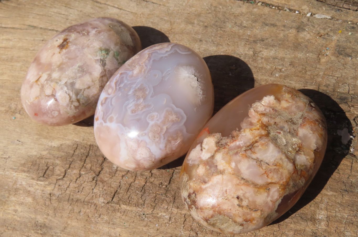 Polished Ocean Flower Agate Palm Stones x 12 From Antsahalova, Madagascar - Toprock Gemstones and Minerals 