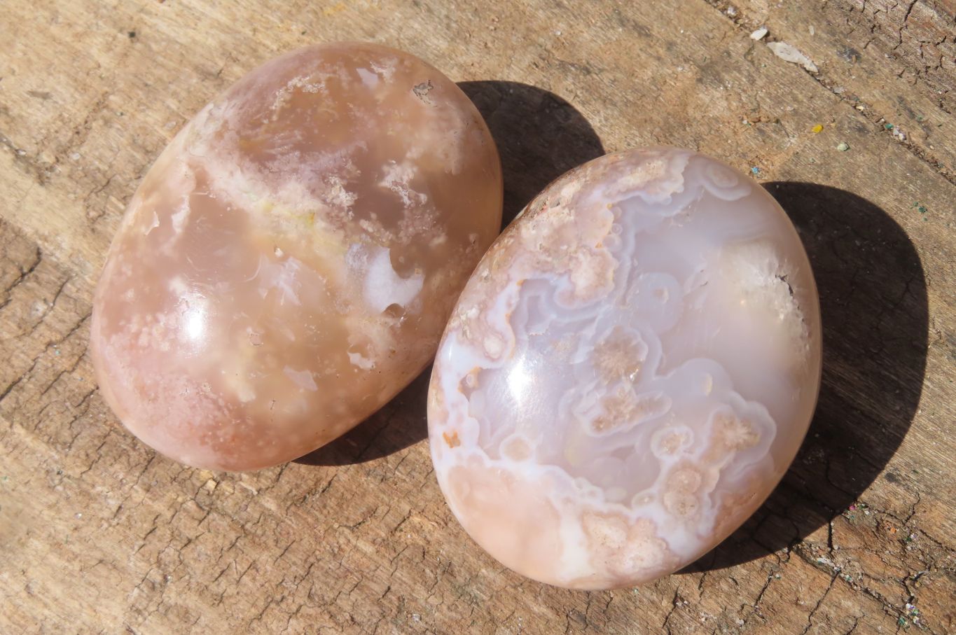 Polished Ocean Flower Agate Palm Stones x 12 From Antsahalova, Madagascar - Toprock Gemstones and Minerals 