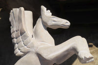 Polished White Marble Pegasus Carving x 1 From Zimbabwe - Toprock Gemstones and Minerals 