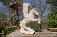 Polished White Marble Pegasus Carving x 1 From Zimbabwe - Toprock Gemstones and Minerals 