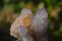 Natural Ametrine Spirit Quartz Clusters x 6 From Boekenhouthoek, South Africa