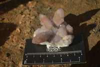 Natural Ametrine Spirit Quartz Clusters x 6 From Boekenhouthoek, South Africa