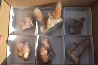 Natural Ametrine Spirit Quartz Clusters x 6 From Boekenhouthoek, South Africa
