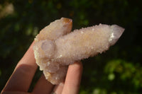 Natural Ametrine Spirit Quartz Clusters x 6 From Boekenhouthoek, South Africa
