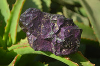 Natural Metallic Purpurite Cobbed Specimens x 12 From Erongo, Namibia - Toprock Gemstones and Minerals 