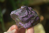 Natural Metallic Purpurite Cobbed Specimens x 12 From Erongo, Namibia - Toprock Gemstones and Minerals 