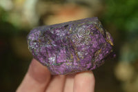 Natural Metallic Purpurite Cobbed Specimens x 12 From Erongo, Namibia - Toprock Gemstones and Minerals 