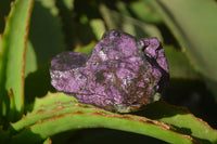 Natural Metallic Purpurite Cobbed Specimens x 12 From Erongo, Namibia - Toprock Gemstones and Minerals 