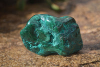 Polished Flower Banded Malachite Free Forms x 14 From Congo - Toprock Gemstones and Minerals 