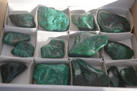 Polished Flower Banded Malachite Free Forms x 14 From Congo - Toprock Gemstones and Minerals 