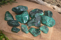 Polished Flower Banded Malachite Free Forms x 14 From Congo - Toprock Gemstones and Minerals 