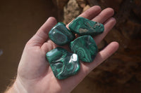 Polished Flower Banded Malachite Free Forms x 14 From Congo - Toprock Gemstones and Minerals 