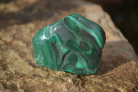 Polished Flower Banded Malachite Free Forms x 14 From Congo - Toprock Gemstones and Minerals 