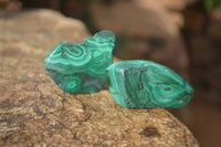 Polished Flower Banded Malachite Free Forms x 14 From Congo - Toprock Gemstones and Minerals 