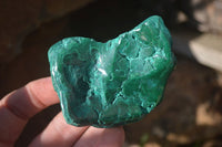 Polished Flower Banded Malachite Free Forms x 14 From Congo - Toprock Gemstones and Minerals 