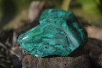 Polished Flower Banded Malachite Free Forms x 14 From Congo - Toprock Gemstones and Minerals 