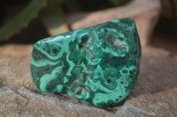 Polished Flower Banded Malachite Free Forms x 14 From Congo - Toprock Gemstones and Minerals 