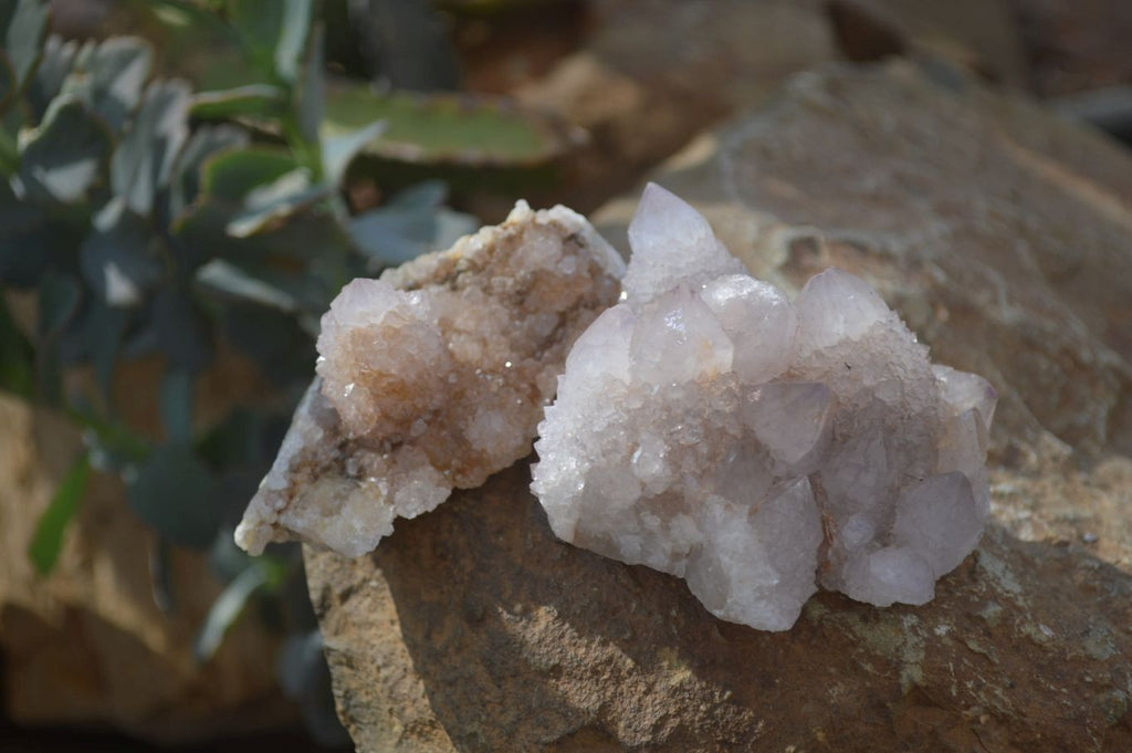 Natural Limonite Spirit Quartz Clusters x 12 From Boekenhouthoek, South Africa - Toprock Gemstones and Minerals 