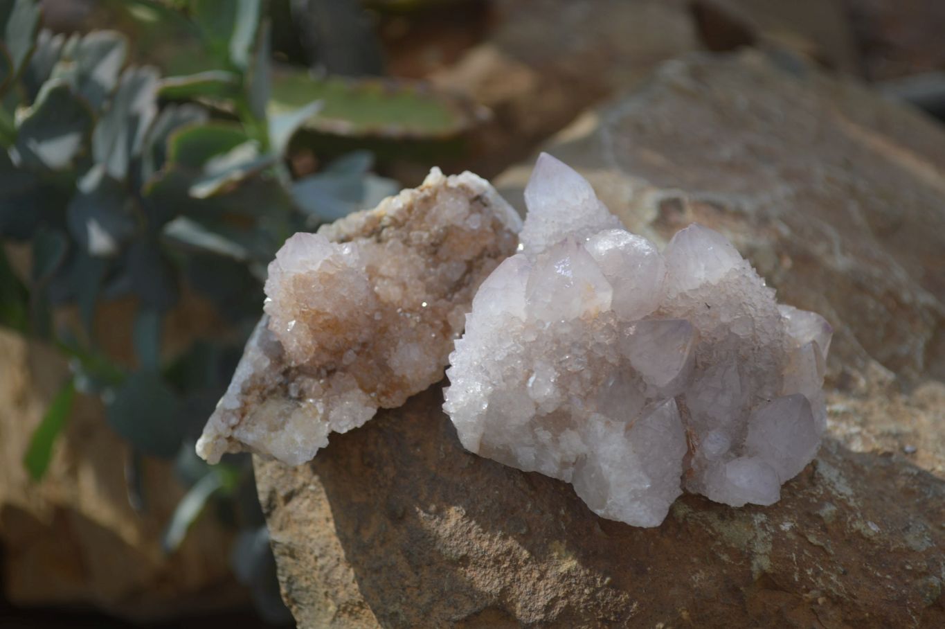 Natural Limonite Spirit Quartz Clusters x 12 From Boekenhouthoek, South Africa - Toprock Gemstones and Minerals 