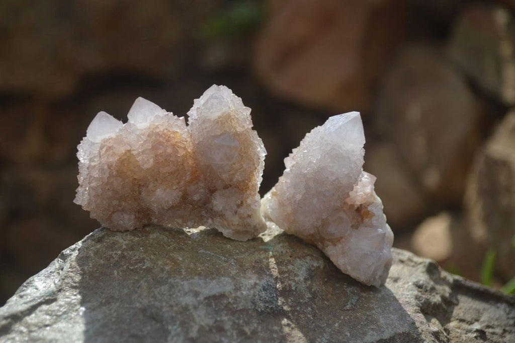 Natural Limonite Spirit Quartz Clusters x 12 From Boekenhouthoek, South Africa - Toprock Gemstones and Minerals 