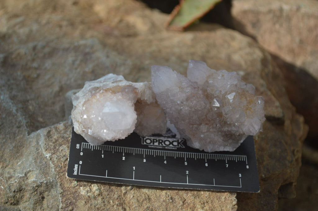 Natural Limonite Spirit Quartz Clusters x 12 From Boekenhouthoek, South Africa - Toprock Gemstones and Minerals 
