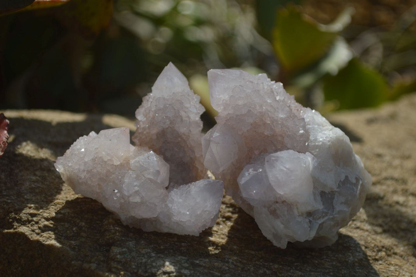 Natural Limonite Spirit Quartz Clusters x 12 From Boekenhouthoek, South Africa - Toprock Gemstones and Minerals 
