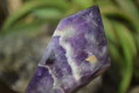 Polished Chevron Amethyst Crystals x 6 From Zambia