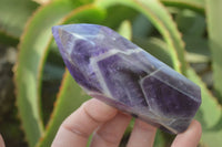 Polished Chevron Amethyst Crystals x 6 From Zambia